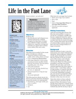 "Life in the Fast Lane" Activity, PDF DOWNLOAD