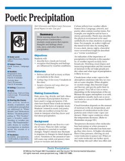 "Poetic Precipitation" Activity, PDF DOWNLOAD