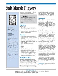 "Salt Marsh Players" Activity, PDF DOWNLOAD