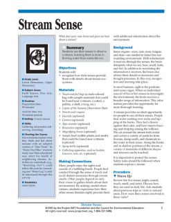 "Stream Sense" Activity,  PDF DOWNLOAD