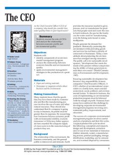 "The CEO" Activity, PDF DOWNLOAD